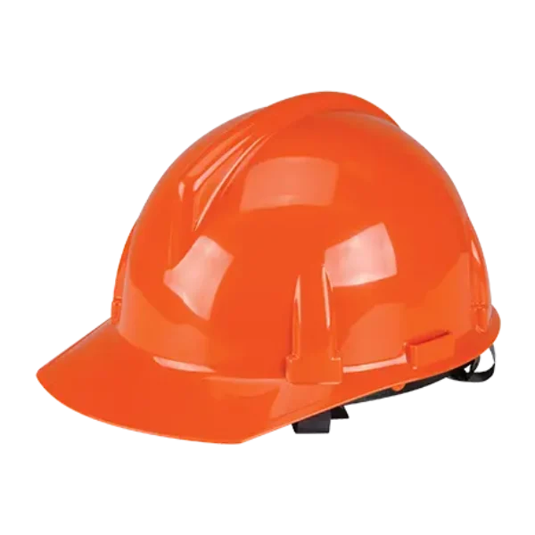 MSA Topgard Hards Hat